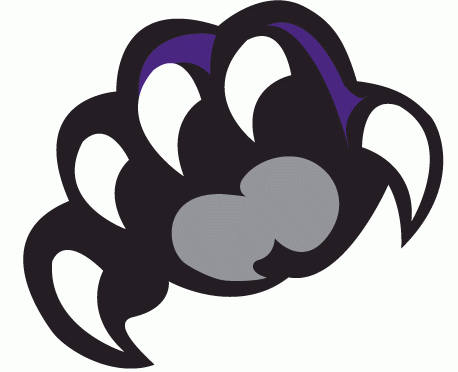 Weber State Wildcats 2012-Pres Secondary Logo iron on transfers for fabric